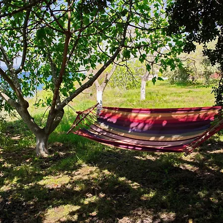 Beachfront With Huge Garden, 3br, Halkidiki * Nea Roda