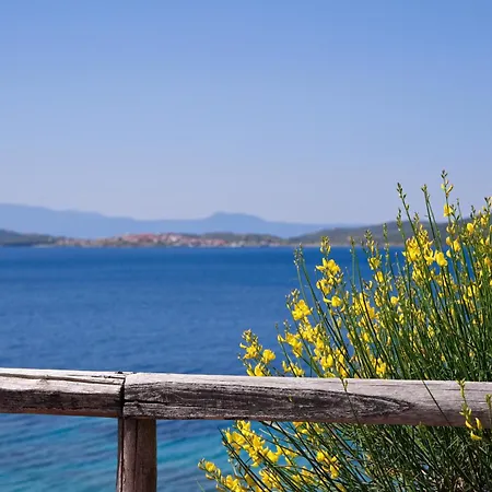 Beachfront With Huge Garden, 3br, Halkidiki Feriehus *